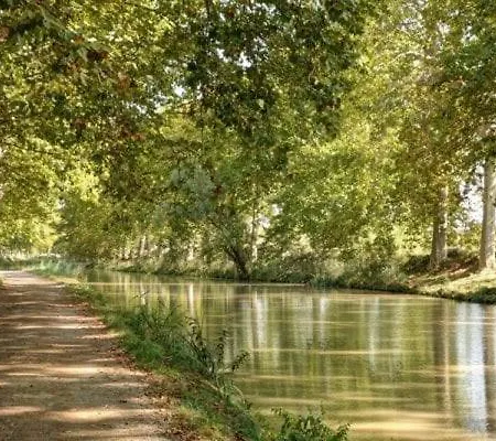 Le Petit Camisou, Un Ecrin Au Pied De La Cite בית נופש קרקסון